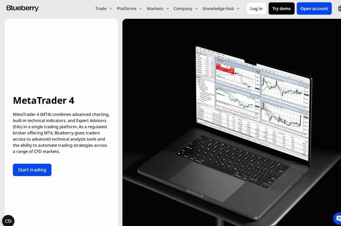 The platform page on the Blueberry Markets website